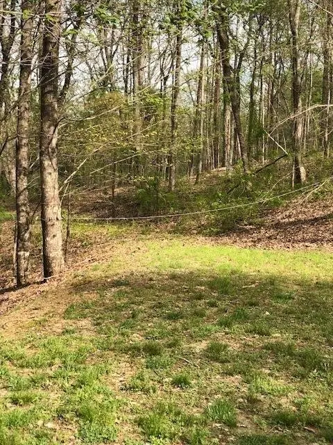 LT 17B Lakeland Drive, Ellijay, GA 30540