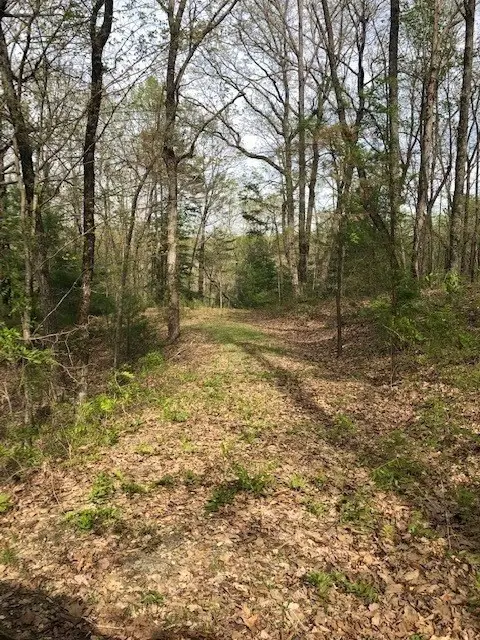 LT 17B Lakeland Drive, Ellijay, GA 30540 - Image #3