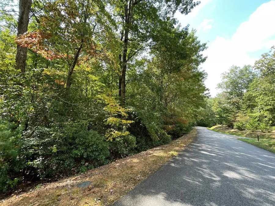 #103 Heritage Trail, Brasstown, NC 28902 - Image #2