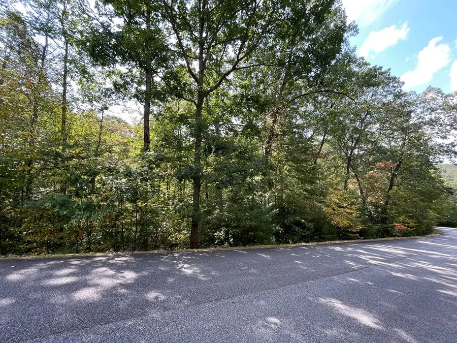 #104 Heritage Trail, Brasstown, NC 28902 - Image #2