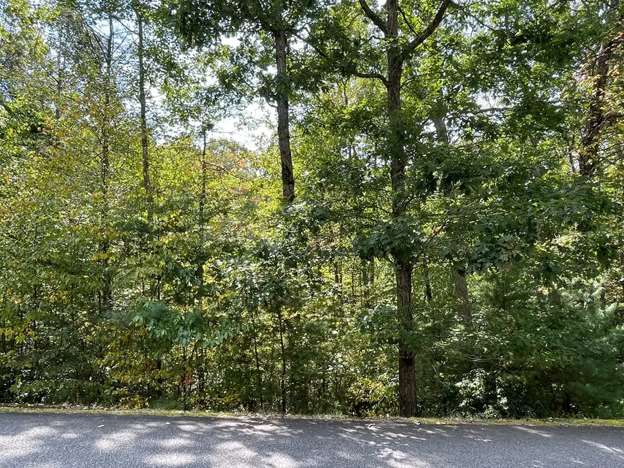 #104 Heritage Trail, Brasstown, NC 28902 - Image #3