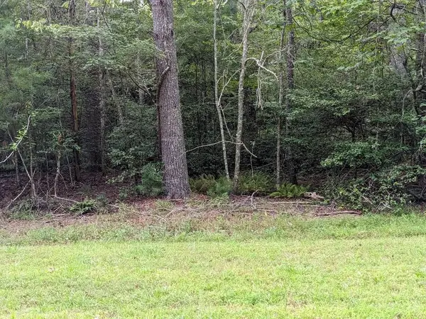 Lot 11 Quail Cove Circle, Warne, NC 28909