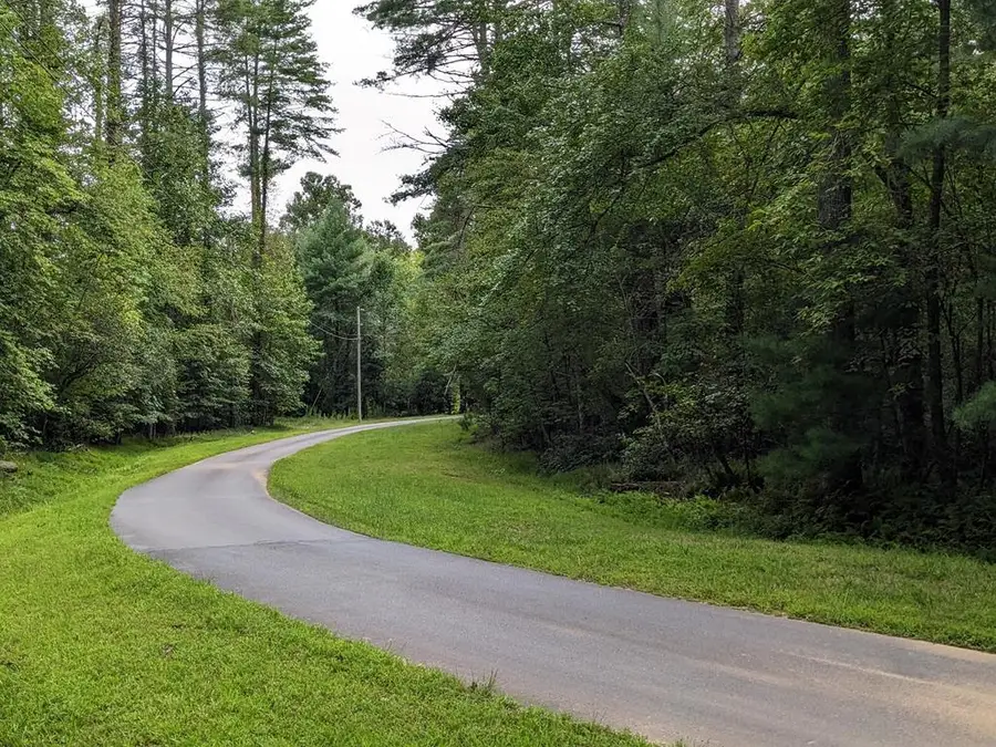 Lot 11 Quail Cove Circle, Warne, NC 28909 - Image #2
