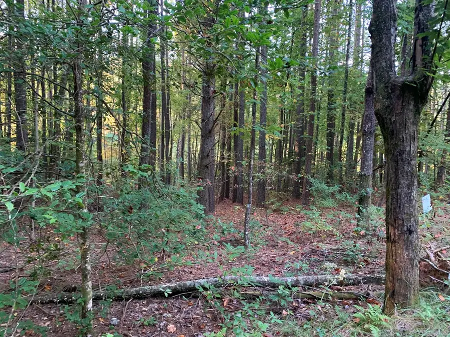 67 Liberty Lane, Murphy, NC 28906 - Image #3