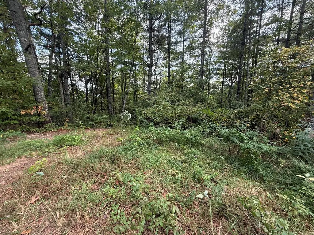 0 Mundy Road, Marble, NC 28905 - Image #1