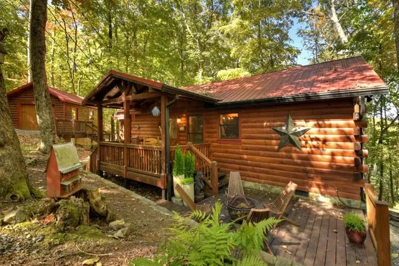 9 Joanna Court, Cherry Log, GA 30522 - #1