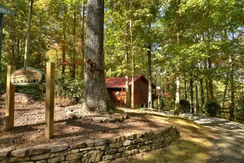 9 Joanna Court, Cherry Log, GA 30522 - #3