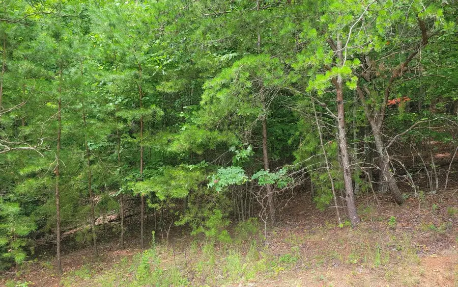 Lot 22B Longview Drive, Hayesville, NC 28904 - Image #2