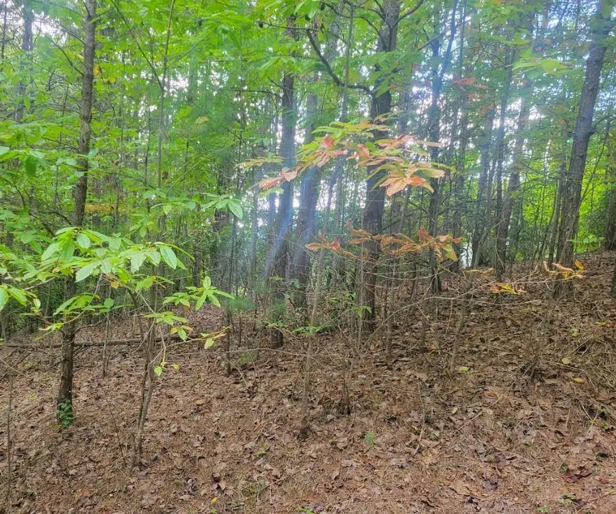 Lot 22B Longview Drive, Hayesville, NC 28904 - Image #3