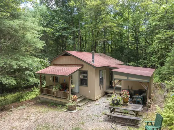 195 Angel Creek Hollow, Mineral Bluff, GA 30559