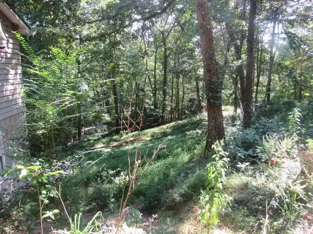 88 Bruce Wike Lane, Brasstown, NC 28902 - Image #2