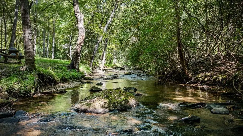 374 Wolf Creek Estates, Mineral Bluff, GA 30559 - Image #1