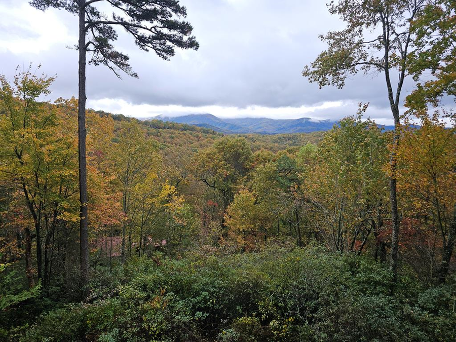 848 Maggie Chapman Road, Cherry Log, GA 30522 - Image #2