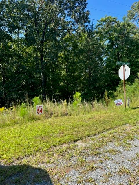 LT 54 Honeysuckle Way, Ellijay, GA 30540