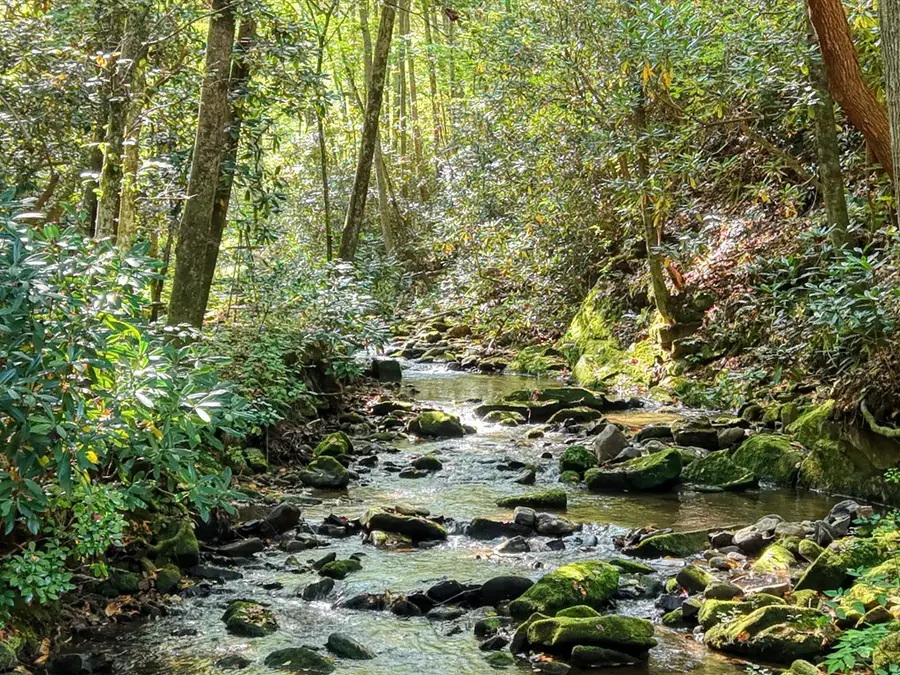 4836 Swallows Creek Road, Hiawassee, GA 30546 - Image #3