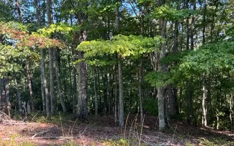 LT 60 Honeysuckle Way, Ellijay, GA 30540 - Image #3