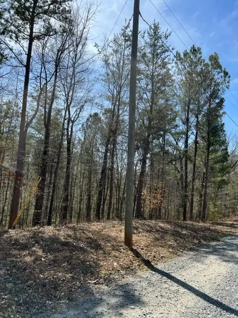 LT 3 Hunter Ridge, Ellijay, GA 30540