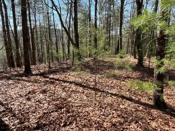 LOT 24 Pickett Mill Lane, Ellijay, GA 30540