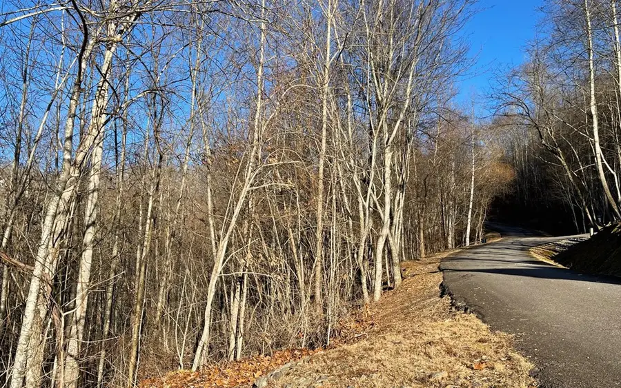 Lot 63 Dan Knob, Hayesville, NC 28904 - Image #3