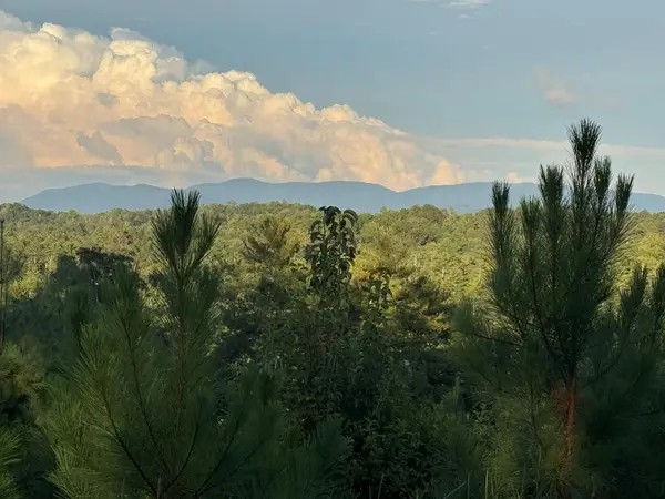 LT 115 Ridge Wood Trail, Ellijay, GA 30546