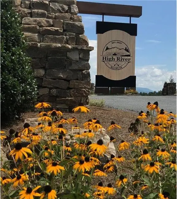 LT 115 Ridge Wood Trail, Ellijay, GA 30546 - Image #2