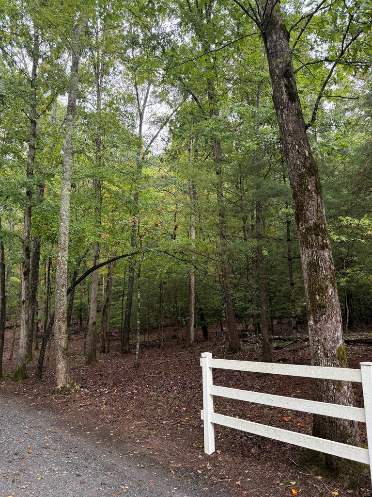 Lot 5 Ludlum Lane, Hayesville, NC 28904 - Image #1