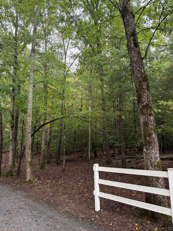 Lot 5 Ludlum Lane, Hayesville, NC 28904