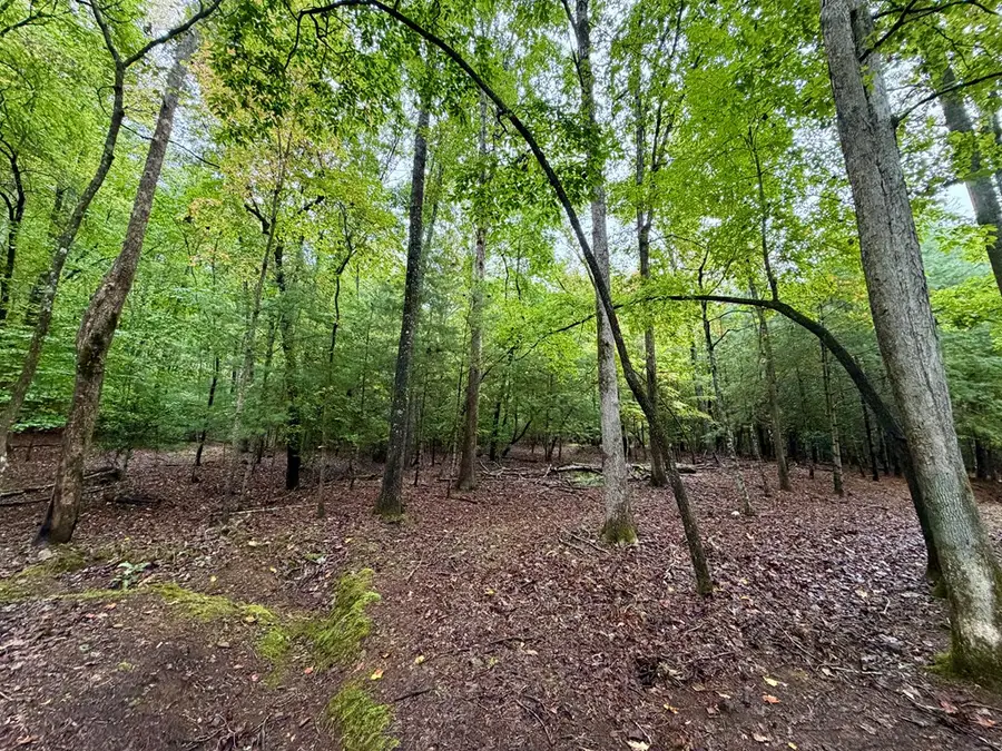 Lot 5 Ludlum Lane, Hayesville, NC 28904 - Image #2