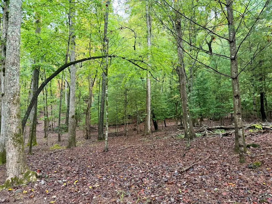 Lot 5 Ludlum Lane, Hayesville, NC 28904 - Image #3