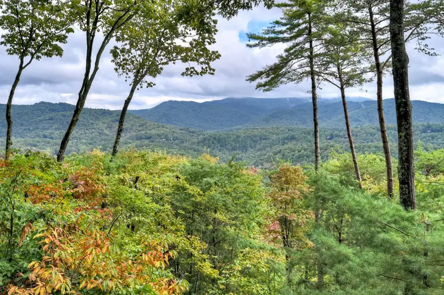 95 Rosiey Lane, Cherry Log, GA 30522 - Image #2