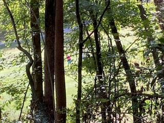 Lt 739 Hiawassee Court, Ellijay, GA 30540 - #1