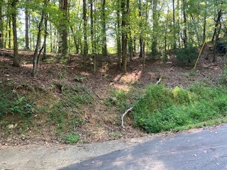 Lt 739 Hiawassee Court, Ellijay, GA 30540 - #2