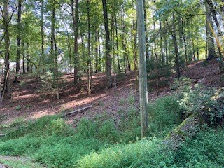 Lt 739 Hiawassee Court, Ellijay, GA 30540 - #3