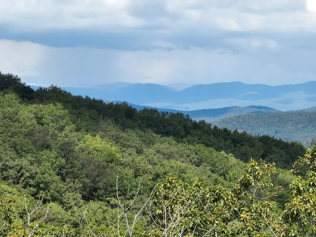 234 Stone Cliff Drive, Ellijay, GA 30536 - #1