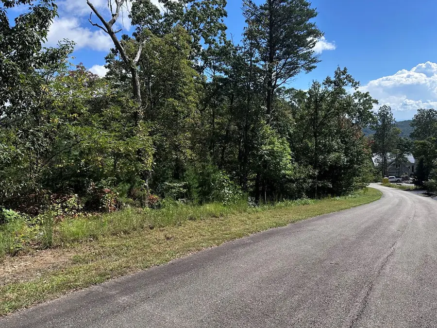 234 Stone Cliff Drive, Ellijay, GA 30536 - #2