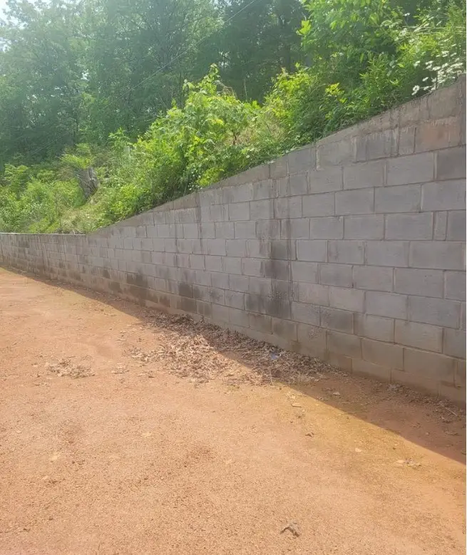 2083 Day Lily Drive, Marble, NC 28905 - Image #3