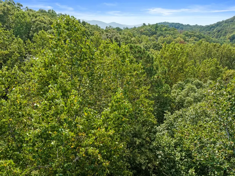 23 B Double Knob, Cherry Log, GA 30522 - #2