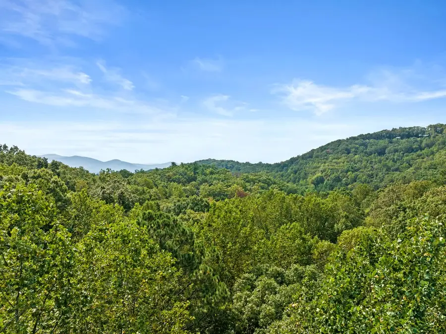 23 C Lake View Road, Cherry Log, GA 30522 - #3