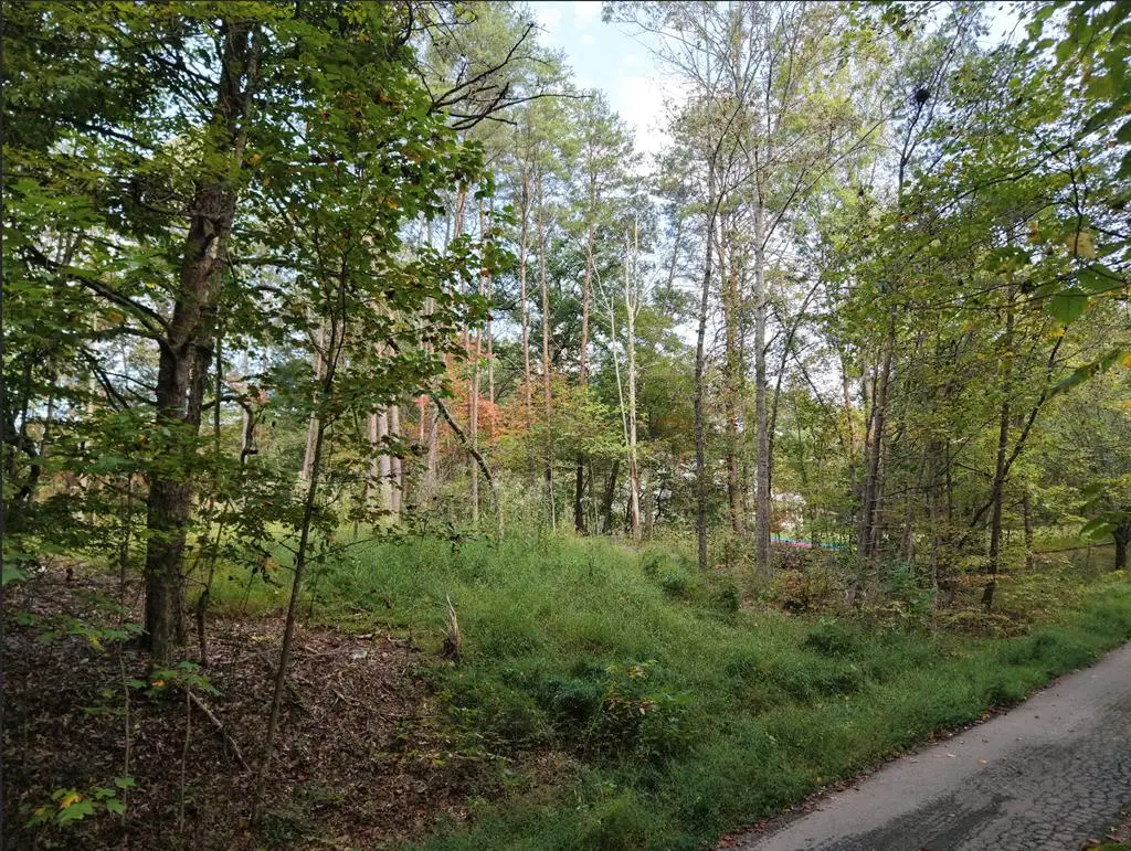 00 High Country Way, Blue Ridge, GA 30513 - Image #1