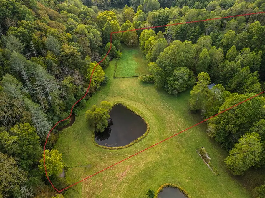 7.93 Cutcane Road, Mineral Bluff, GA 30559 - Image #3