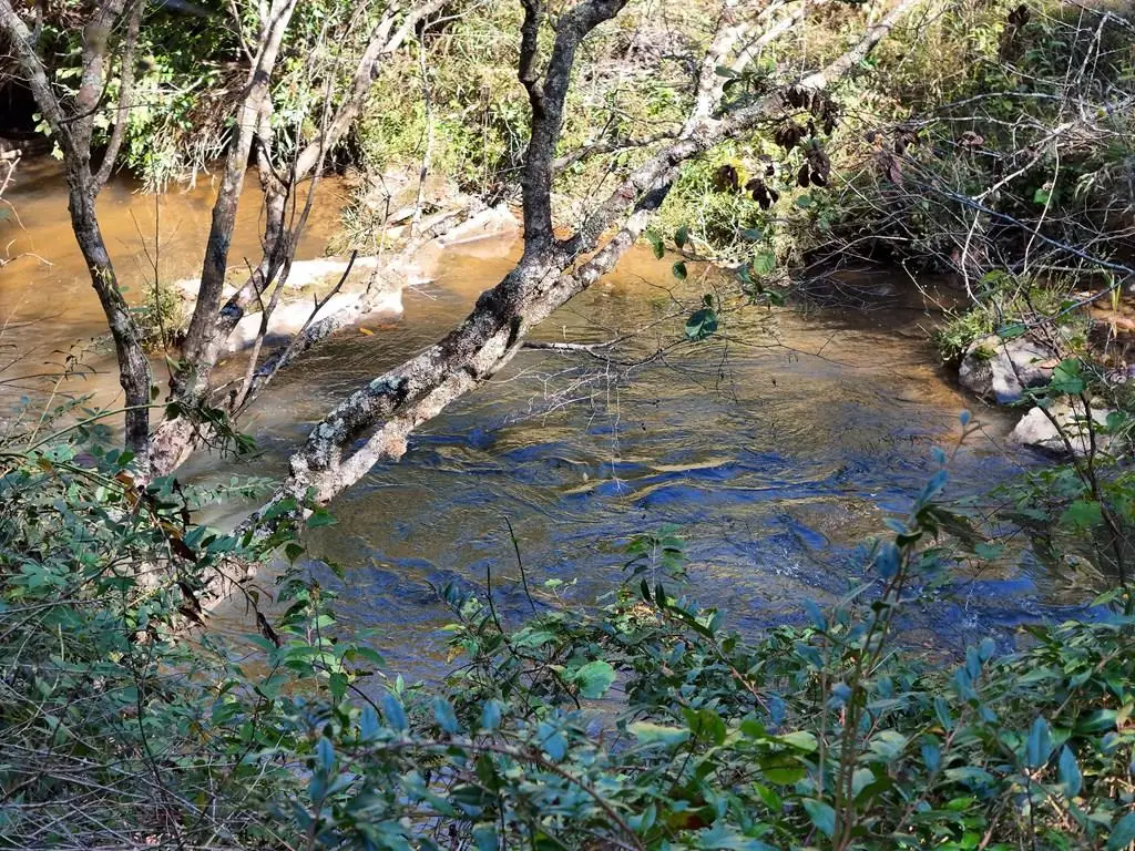 Lt 27/28 Donna Lee Lane, Mineral Bluff, GA 30559 - #1