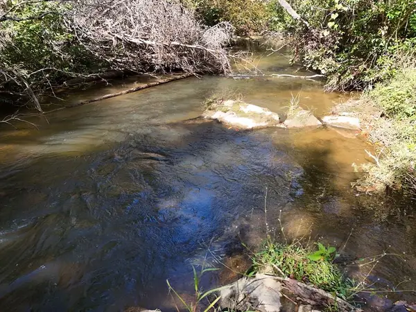 Lt 27/28 Donna Lee Lane, Mineral Bluff, GA 30559