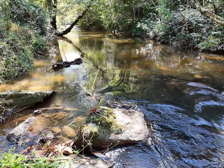 Lt 27/28 Donna Lee Lane, Mineral Bluff, GA 30559 - #3