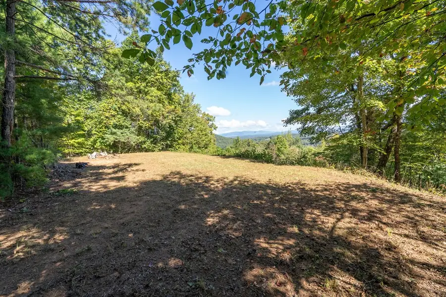 Lot 6/7 Raintree Bend, Blue Ridge, GA 30513 - Image #2