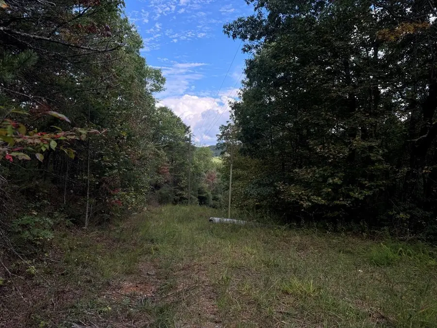 13.57 Ac Burnt Mountain Cove Road, Jasper, GA 30143 - Image #2