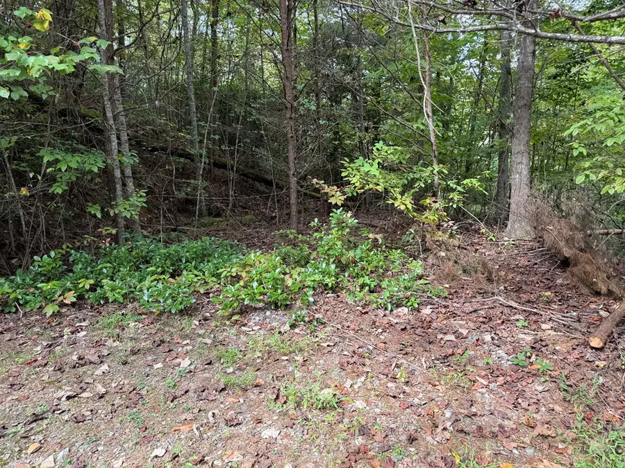 0 Reserve Estates, Murphy, NC 28906 - Image #2