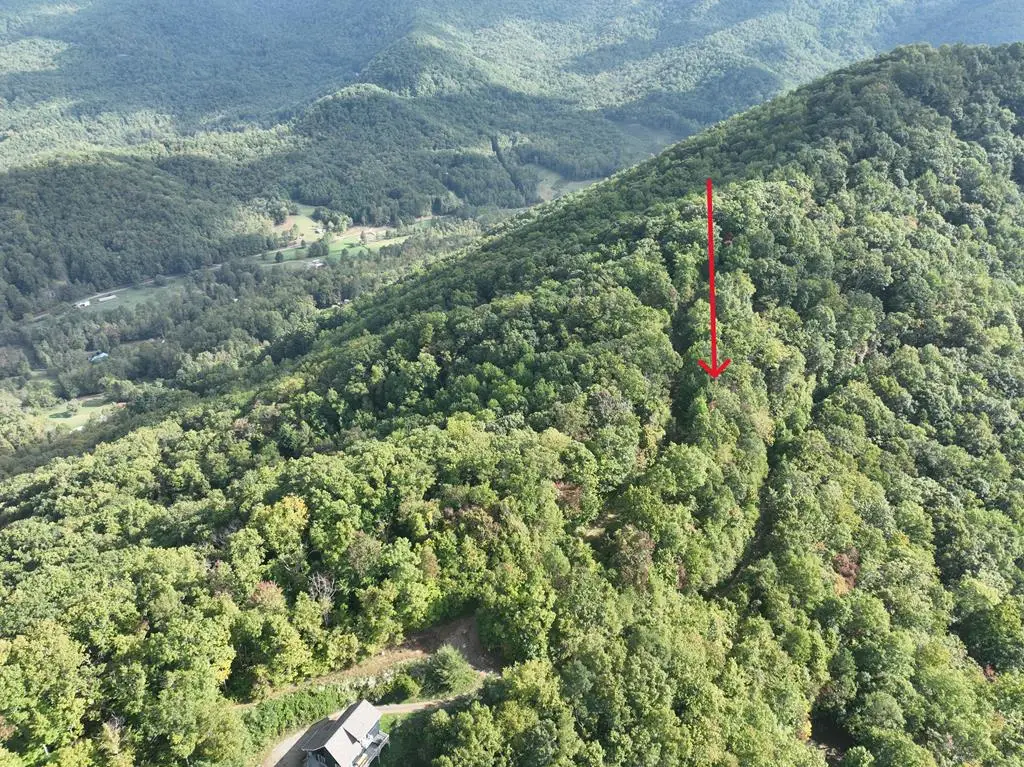 0 Burnt Leaf Lane, Hayesville, NC 28904 - #1