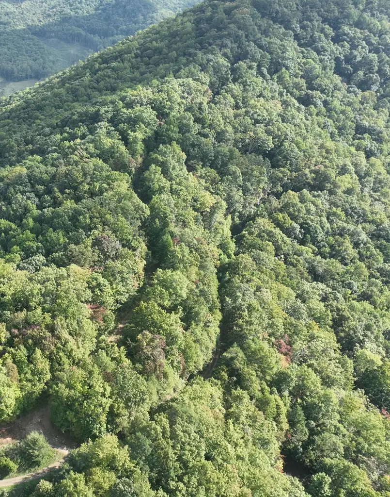 0 Burnt Leaf Lane, Hayesville, NC 28904 - #2