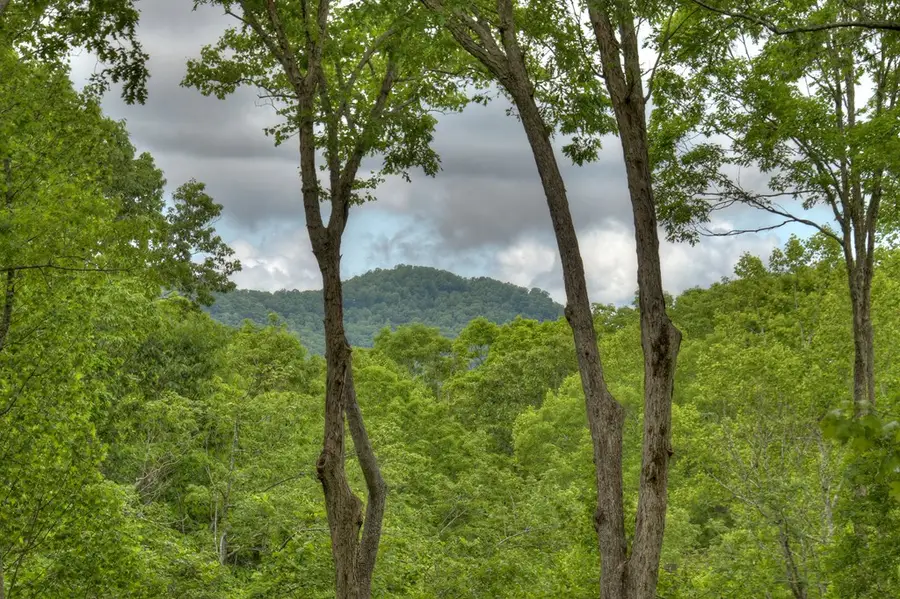 244 Wilderness Way, Ellijay, GA 30536 - Image #2