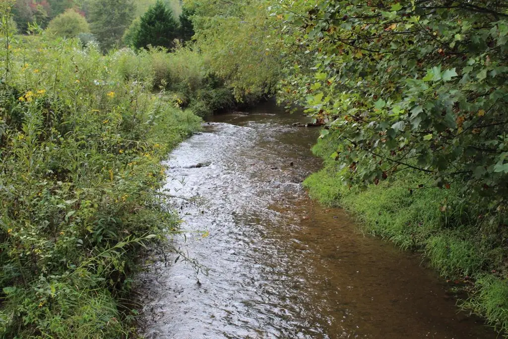 Lot 13 Creekside Acres, Brasstown, NC 28902 - Image #1